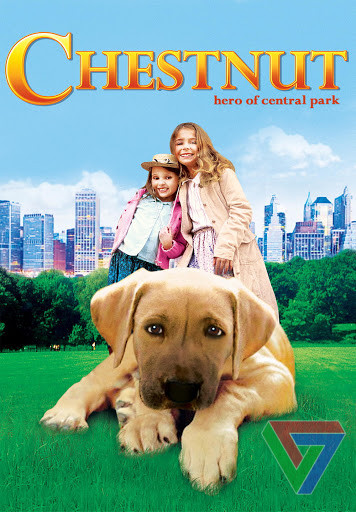 Chestnut-Hero-of-Central-Park.jpg